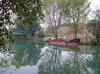 49_P1030747AASrid