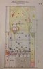 Scrovegni disegno coro3