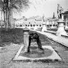 Prato della Valle 50(V