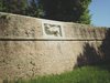 il leone tornato a casa SCroce