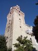 TorlongaSpecola svetta(LucianaRampazzo)