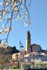 ArquàPetrarca2