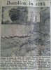 pascolo al Bonservizi 1953
