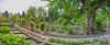 OrtoBotanico(AlbertoGarbo)