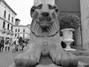 Pedrocchi Leoni1