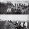 Sgaravatti Saonara anni40