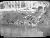 lavandaie via XXsettembre (lastra originale GMillozzi)