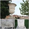 Prato vasi mix