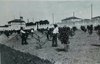 Orto Agrario in via Gradenigo1926