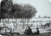 mercato in Prato della Valle,nel 1902