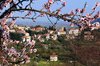 Arquà Petrarca, (Bruno Viale)