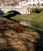 ponte dei Tadi1